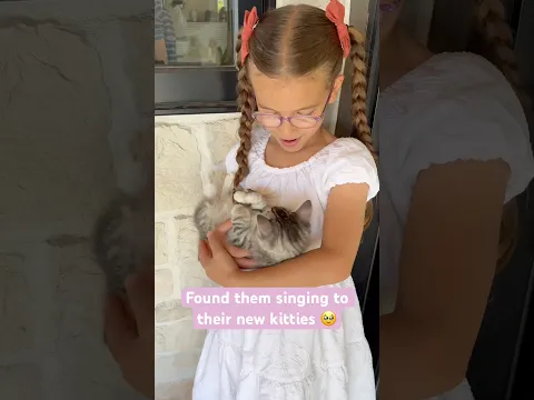 We should just meow all our music from now on 🔥 😆