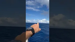 Passage to Tahiti! #sailing #family #sailinglife #viral