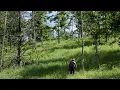 This Savanna Restoration Paid For Itself