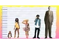 How Tall Is Gabrielle Union - Height Comparison