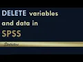 Delete Variables and Data in SPSS