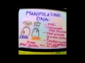MANIPULATING DNA SARAH Y ANDREA 9A