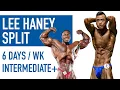 LEE HANEY-Inspired Push Pull Legs Workout Plan PPL Split