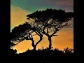 Download Lagu Dr Joe Dispenza Powerful  Music Meditation