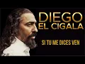 Lagu 💖SI TU ME DICES VEN💖 DIEGO EL CIGALA