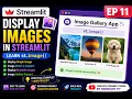 How to Display Images in Streamlit st image Tutorial with Image Gallery