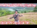 Download Lagu Phát Hiện Đồi Cỏ Hồng Tuyệt Đẹp, Chính Thức Đà Lạt Chỉ Còn Là Cái Tên