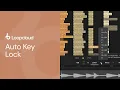 Auto Key Lock Loopcloud 101