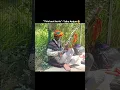 Download Lagu Departure lane by Umair \u0026 Talha Anjum #umair #talhaanjum #beats #shorts #shortvideos #song #music
