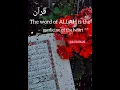 Download Lagu #nasiha #islamic_short_video #Quran