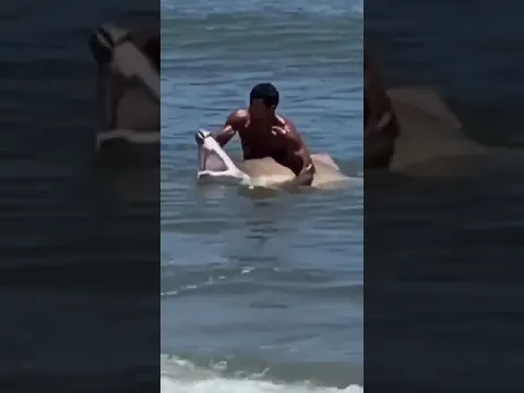 Download MP3 RAW VIDEO:  Swimmer captures shark off Delaware coast