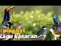 Audio jernih | KUMPULAN LAGU KASARAN, MUDAH DI TIRUKAN