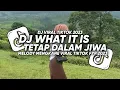 Download Lagu DJ WHAT IT IS X TETAP DALAM JIWA FULL SONG BY MAMAN FVNDY