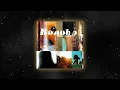 Bonobo - "Kota"