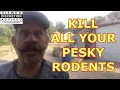 SIMPLE EASY-Kill All Your Pesky Rodents without poison or snap traps As easy as making a PB J