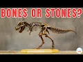 What are fossils Do bones decompose How long does it take for bones to decompose