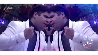 محمود تقی زاده فتانه 