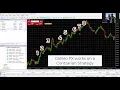 How the Galileo FX Trading Bot Works Bullish and Bearish Signals