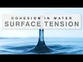Download Lagu Surface Tension Explained [Cohesion in Water]