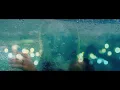 Download Lagu PAPHAL OFFICIAL MUSIC VIDEO feat. LIFE IN LIMBO | Preeti Yumnam