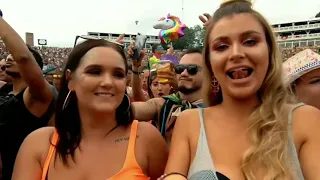 dj alok wiggle wiggle song tomorrowland h t videos