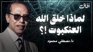 حياة العنكبوت رائعة دكتور مصطفى محمود كلمات وتفاصيل ستدهشك 