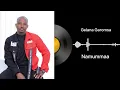 Download Lagu Namummaa | Gelana Garomsa Album 2 | Galaanaa Gaaromsaa
