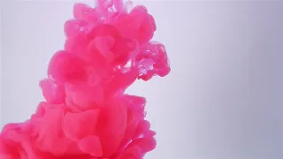 could this be love lyrics video 