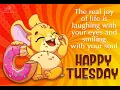 Cute Happy Tuesday Wishes Fun Cartoon Good Morning Greetings Collection
