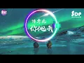 陳零九 - 你他我「高音質 x 動態歌詞 Lyrics」♪ SDPMusic ♪