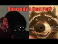 How Raccoons Almost Got Away With It