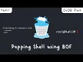Popping a shell using buffer overflow Binary Exploitation Tamil 0x06 shellcode exploit