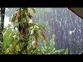 Download Lagu Sleep Therapy No. 1 World | Heavy Rain Sounds to Relieve Anxiety \u0026 Insomnia, sleep soundly