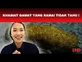Lagu KHASIAT GAMAT YANG RAMAI TIDAK TAHU !