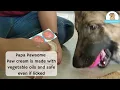 Download Lagu Soft Paws Paw Cream | How to use | Vegetable oil Based | Natural | Safe even if licked.