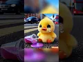 Duck crying