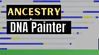 DNA Painter Color Segments Using Ancestry DNA SideView