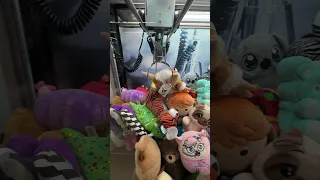 They JUST Refilled This Claw Machine! (Won EVERYTHING)