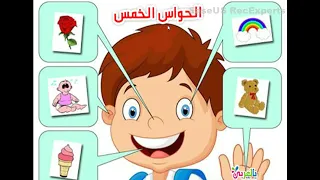 نقرأ نفهم و نتعل م قصة الحواس الخمسة 
