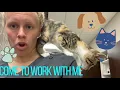 COME TO WORK WITH ME AS A KENNEL WORKER