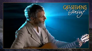 yusuf cat stevens heaven where true love goes official music video an other cup