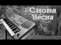 Download Lagu KorgStyle -Снова Весна (Korg Pa 900) DemoVersion 2018