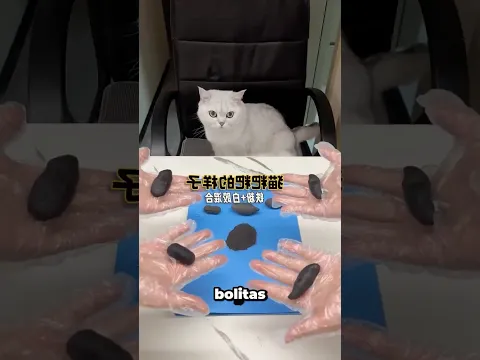 El gatito cayó en la broma del imán #shortvideo
