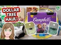 Vacation DOLLAR TREE Haul and Walkthrough Virginia Stores August 18 2026