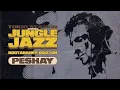 Download Lagu Peshay Jungle Jazz Sessions Brixton Hootananny 2025