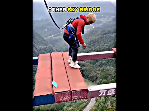 Other Skydiving Bridge Vs Last Guy || #trolledit #viral #trollface
