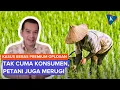 Download Lagu Anggota DPR Sebut Petani Juga Dirugikan gara-gara Beras Premium Oplosan
