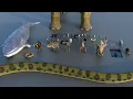 Animal Size Comparison 3d Animation Comparison Real Scale Comparison