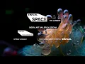 Download Lagu Signal Space: A New Permanent Gallery for Digital and Transmedia Art in Prague