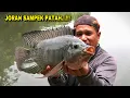 Download Lagu NGERI..!!! Keganasan saat Mancing ikan Nila Babon di sungai joran sampek Patah